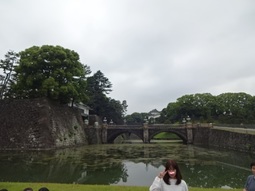 DSC00917m.jpg