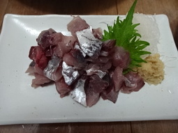 DSC04077.JPG